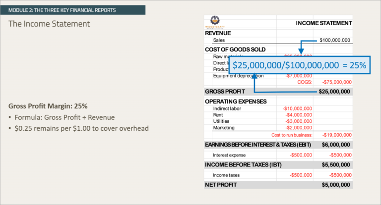 Screenshot 01 for course on Financial Statement Fundamentals & Industry Patterns.