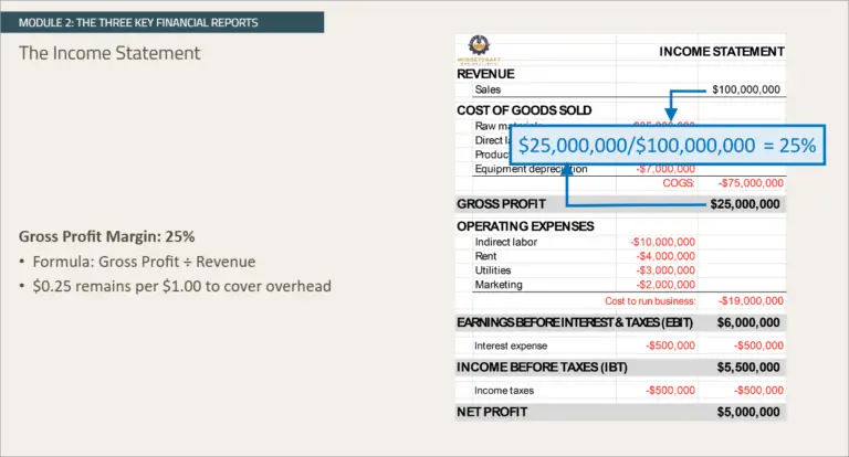 Screenshot 01 for course on Financial Statement Fundamentals & Industry Patterns.